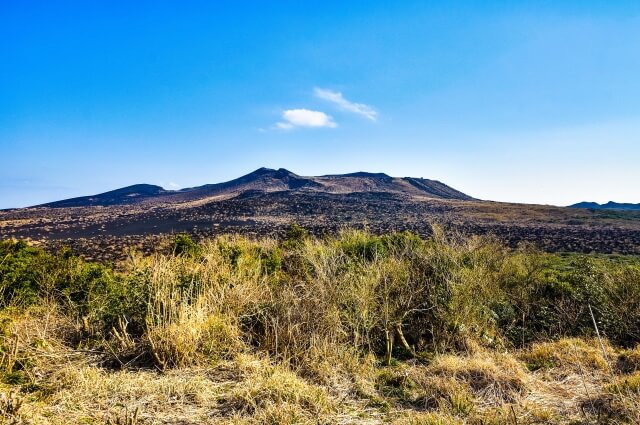 伊豆大島の観光名所の三原山の画像です